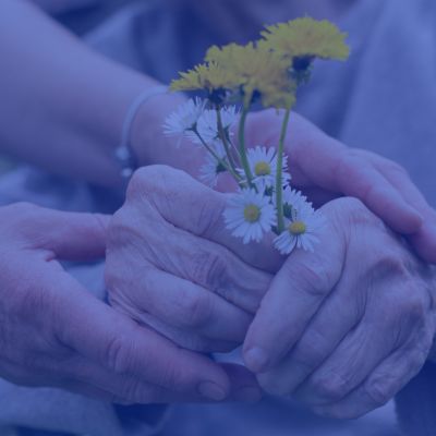 247 Professional Nursing Support at Cedar Lawn