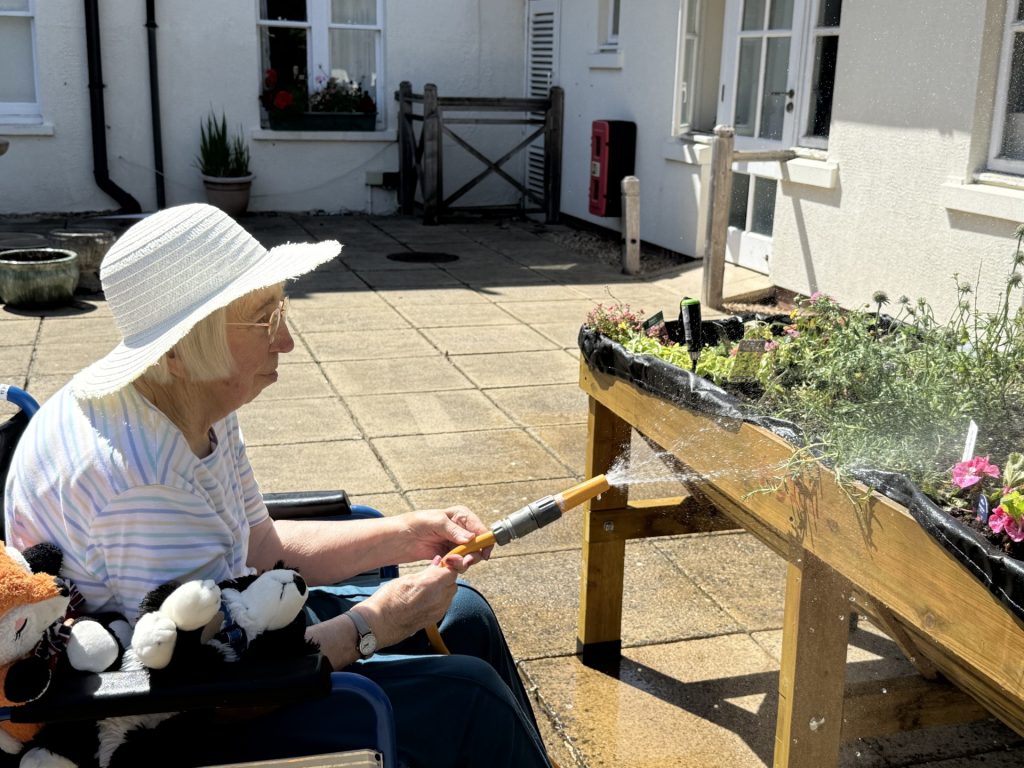 Elderly woman in a wheelchair watering flowers in a raised garden bed with a hose on a sunny patio.
