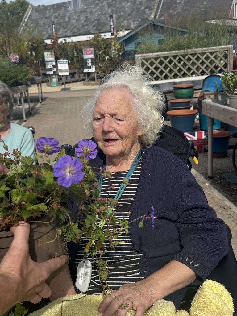 An elderly woman in a wheelchair holding a pot of purple flowers outdoors at a garden center.