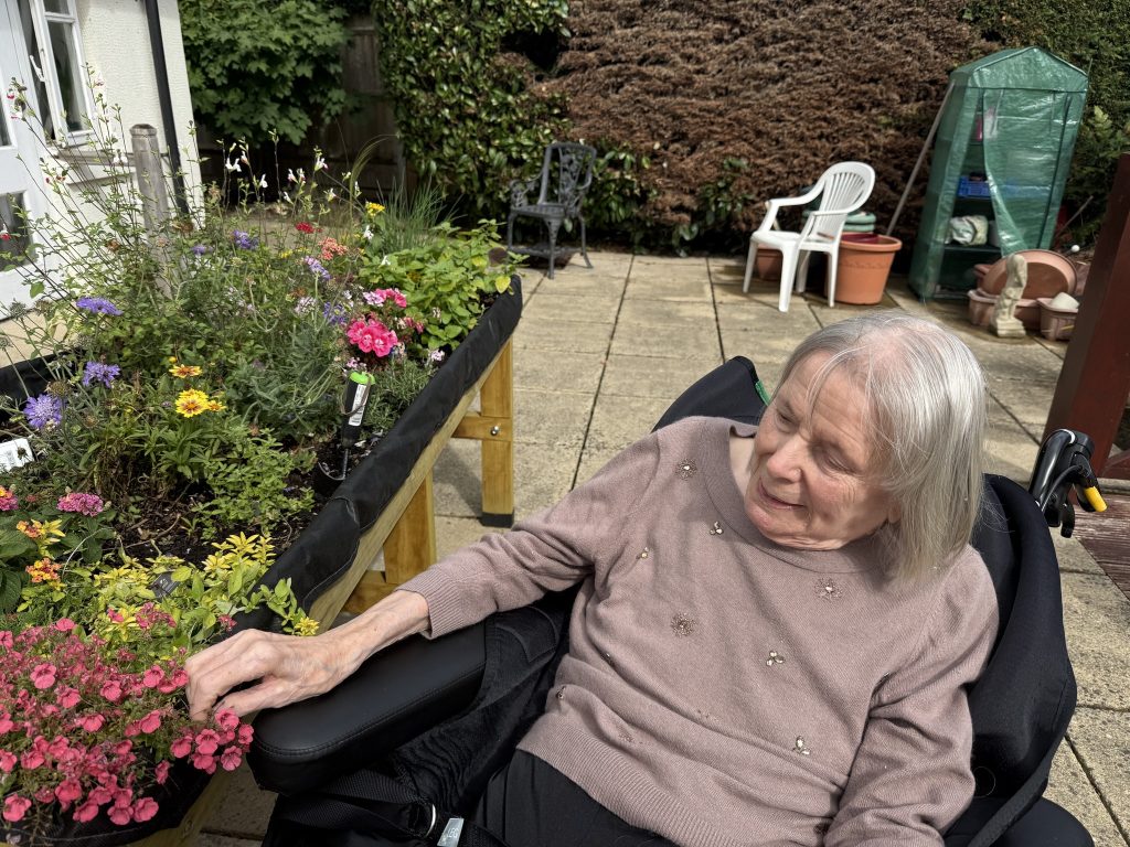 An elderly woman in a wheelchair gently touching colorful flowers in a raised garden bed.