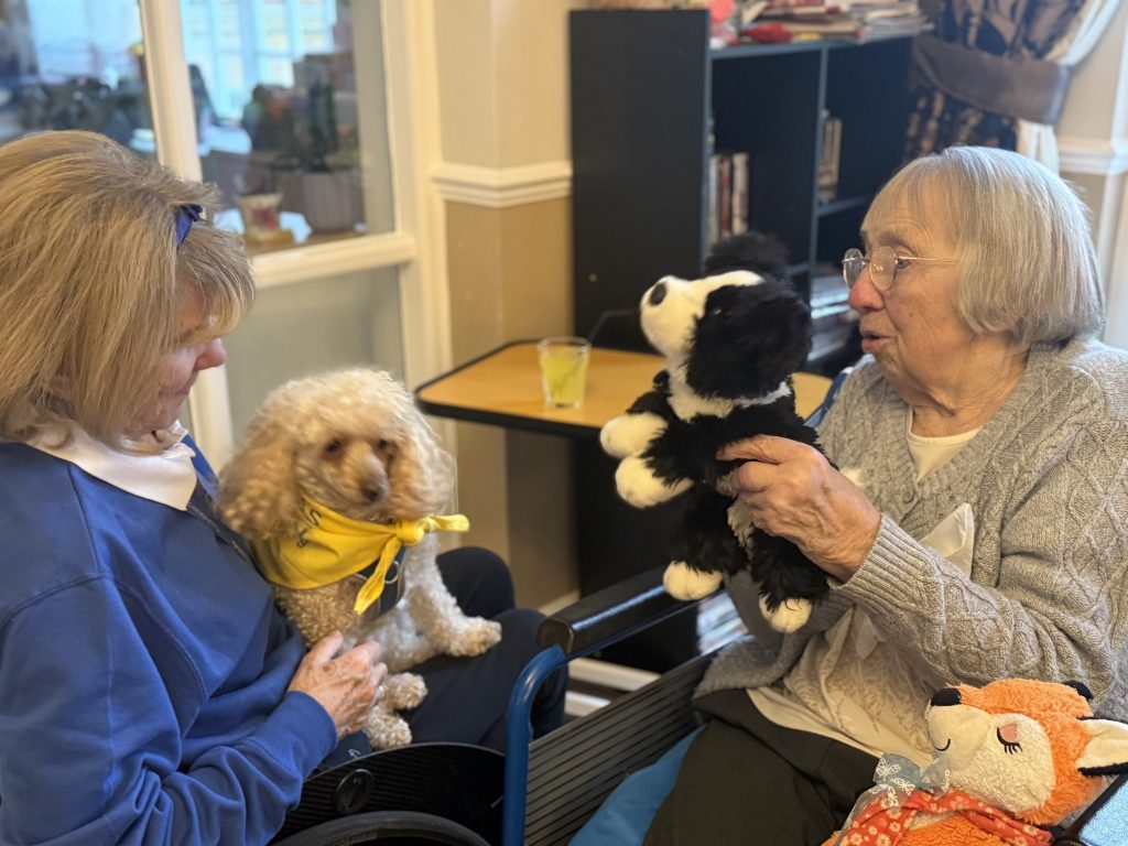 Two elderly women interacting, one holding a toy dog while the other has a real therapy dog on her lap.