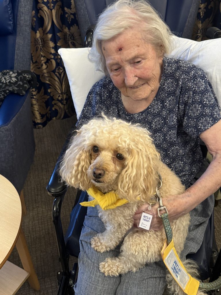 Elderly woman sitting in a chair, gently holding a small therapy dog.