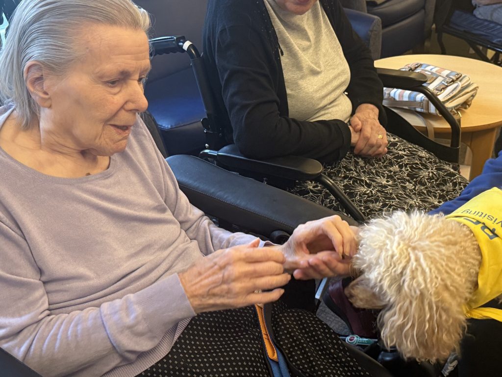 Elderly woman offering a treat to a therapy dog while sitting in a chair.