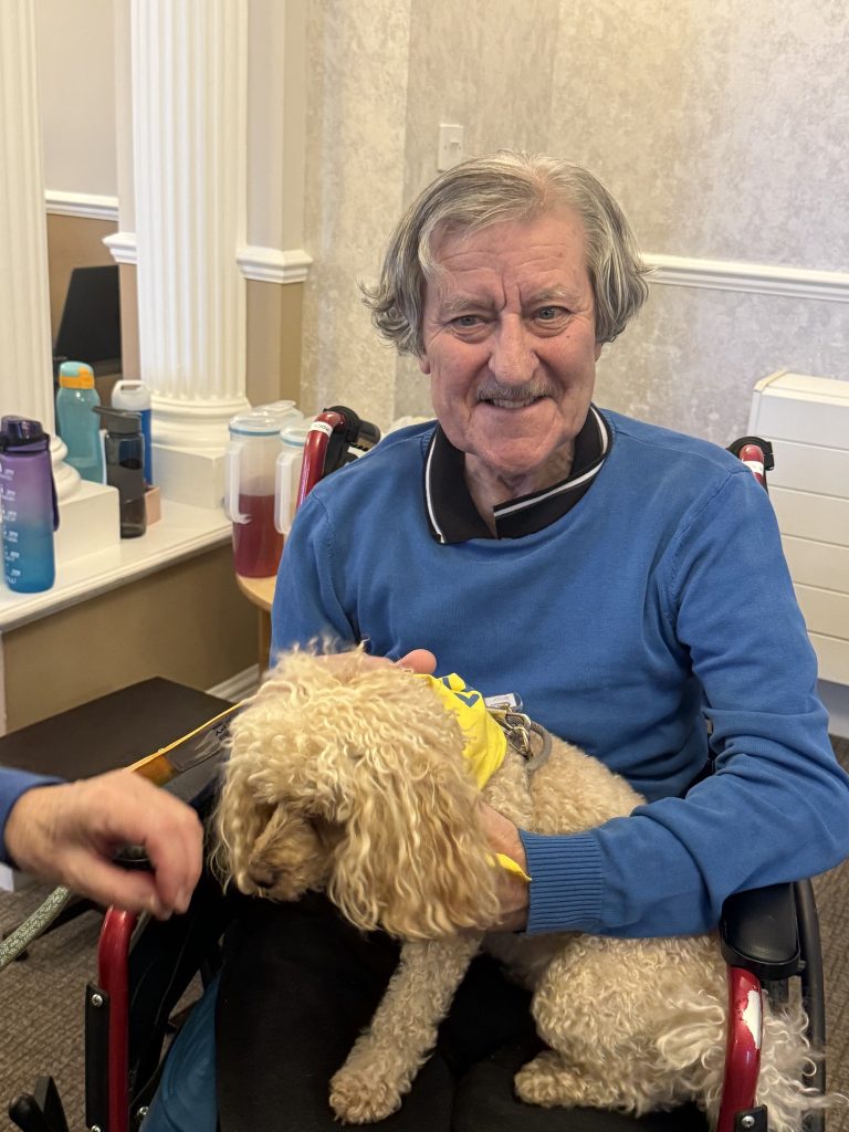 Elderly man smiling while holding a small therapy dog on his lap.
