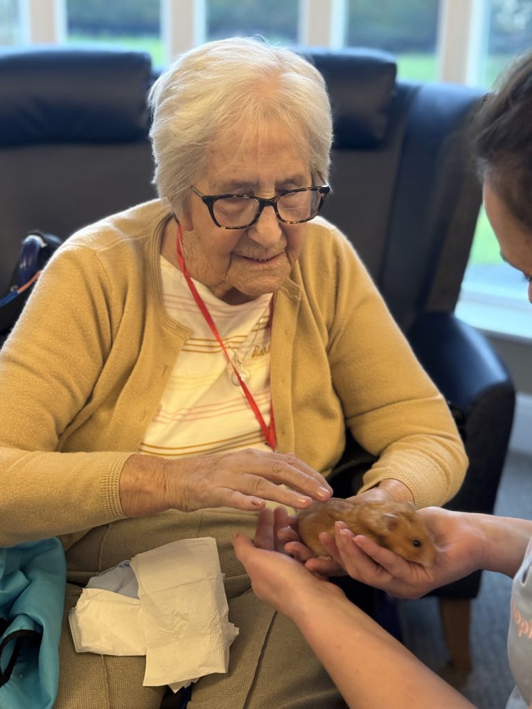 Elderly woman gently pets a small hamster being held by a caregiver.