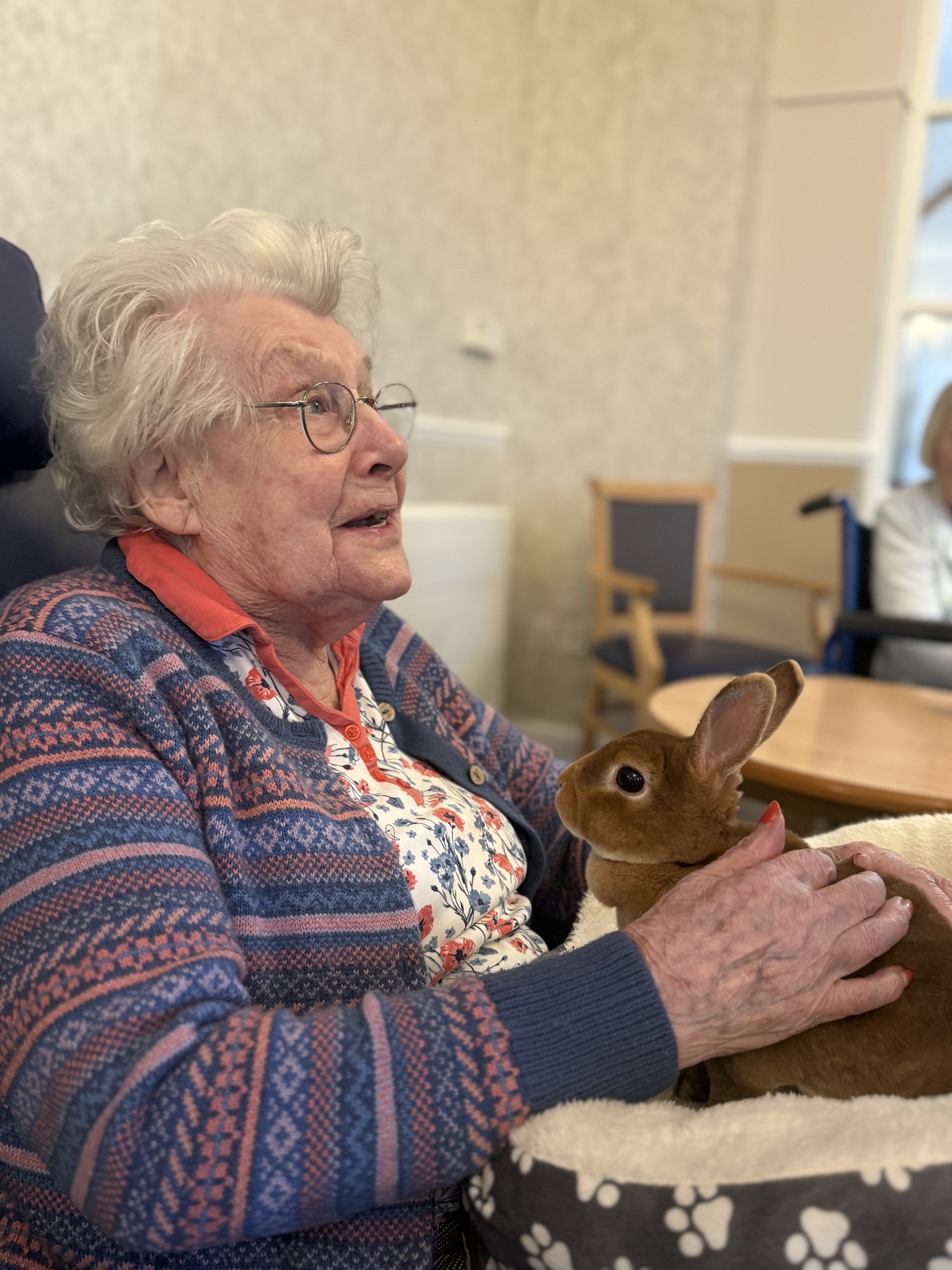 Elderly woman smiles while holding and stroking a brown rabbit.
