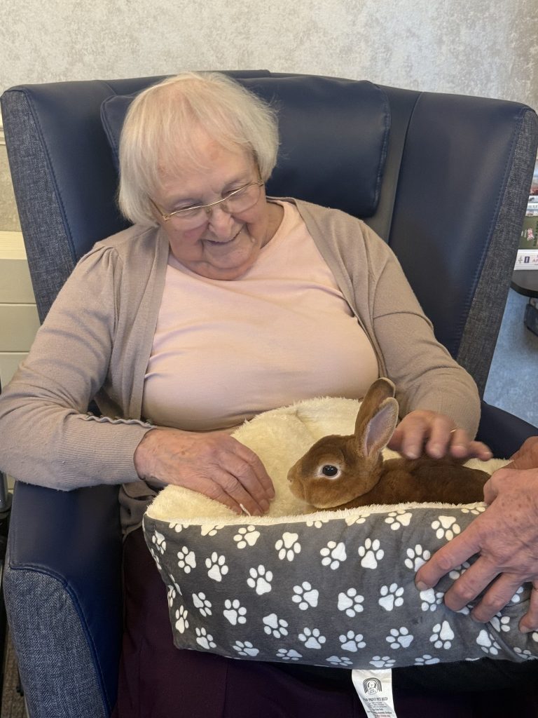 Elderly woman smiling while gently petting a rabbit resting in a soft bed on her lap.