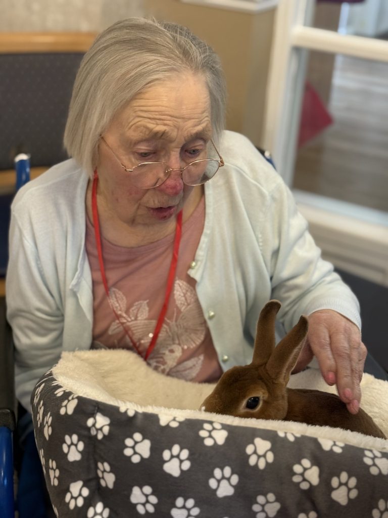 Elderly woman petting a rabbit sitting in a soft, paw-print bed.