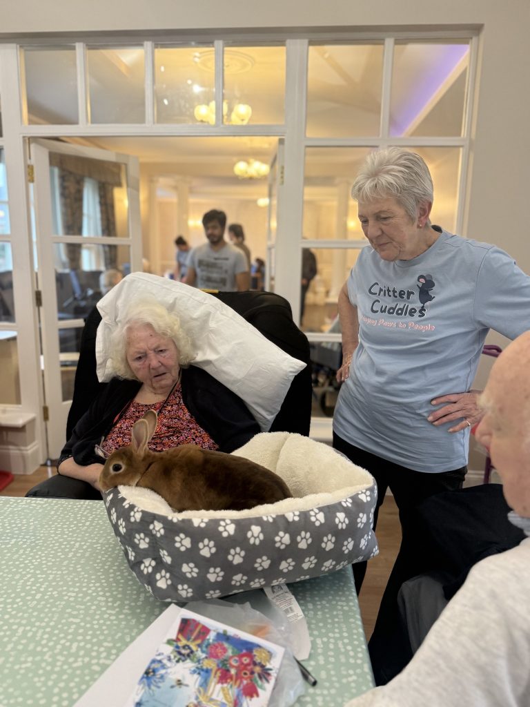 Elderly woman in wheelchair watching a rabbit resting in a soft pet bed on a table.