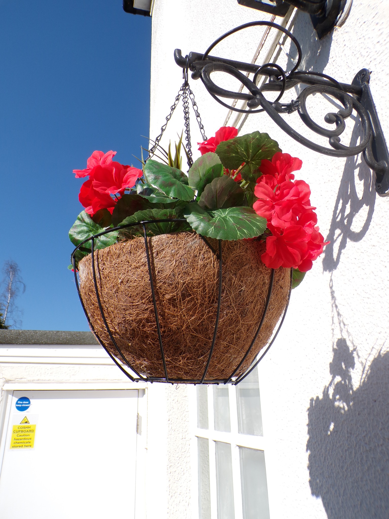 Hanging basket with red flowers mounted on a wall in sunlight.