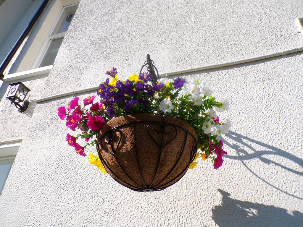 Hanging basket with colorful flowers on a sunlit exterior wall.