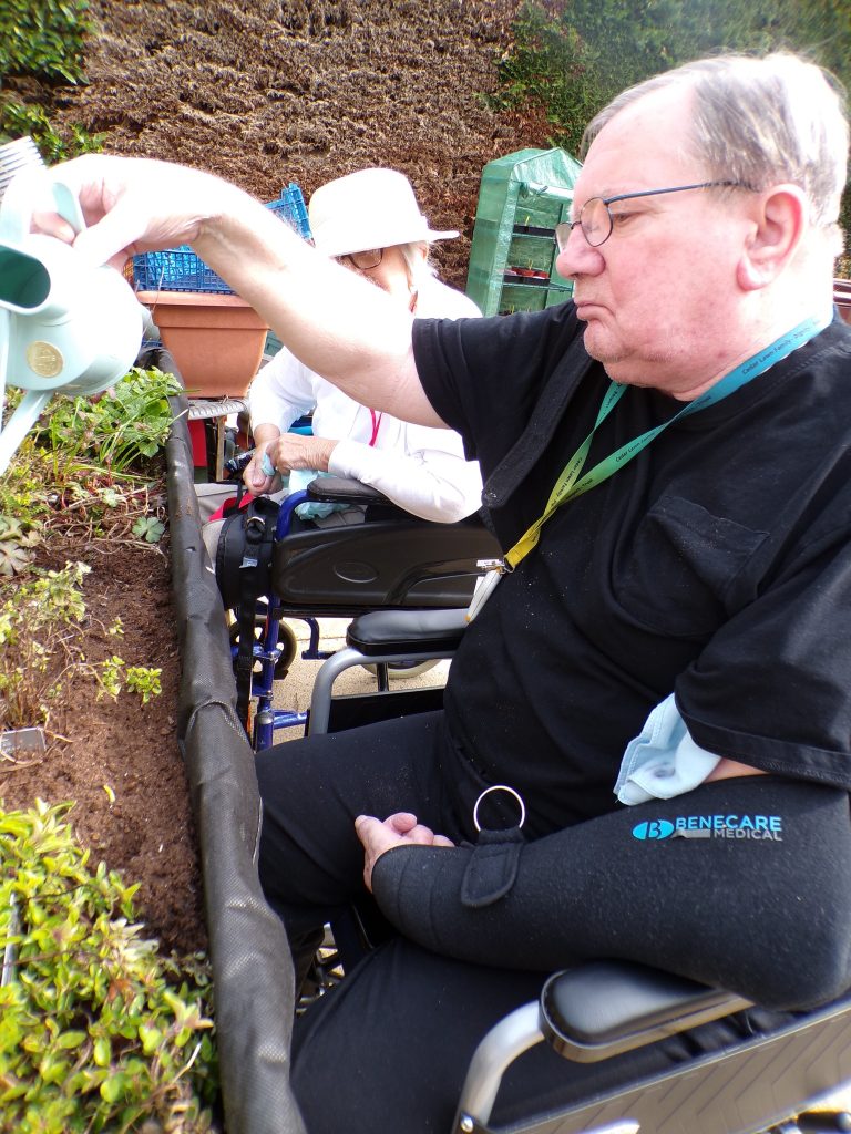 Man in a wheelchair watering plants in a raised garden bed outdoors.