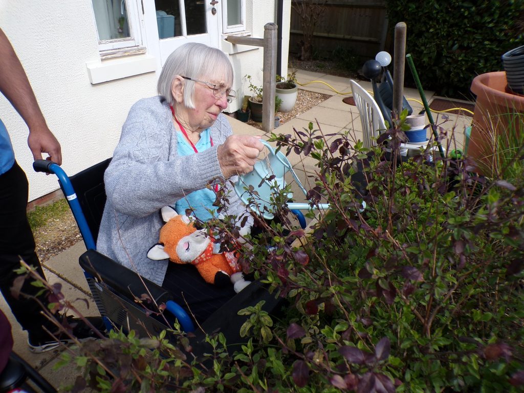 Elderly woman in wheelchair watering garden plants, holding a soft toy on her lap.