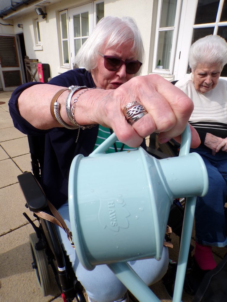 Elderly woman in wheelchair pouring water from a watering can outdoors.
