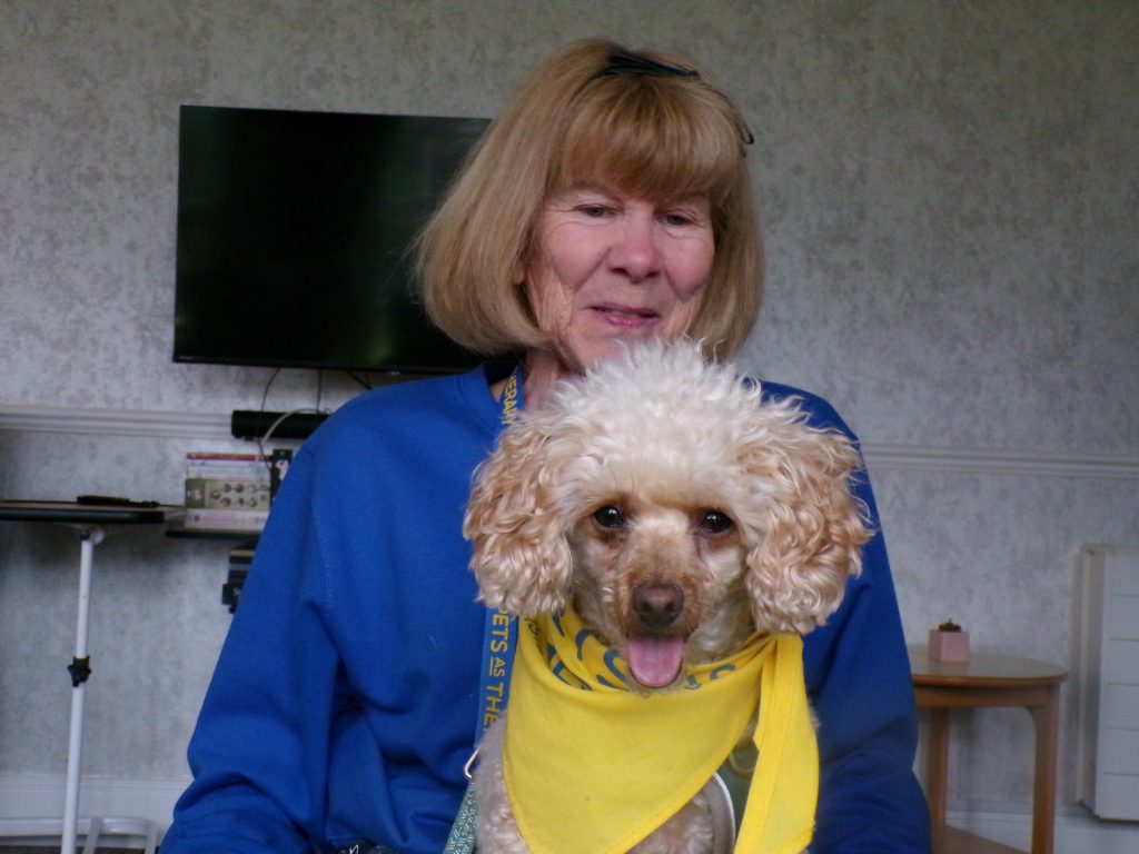 Woman holding a small curly-haired dog wearing a yellow bandana indoors.